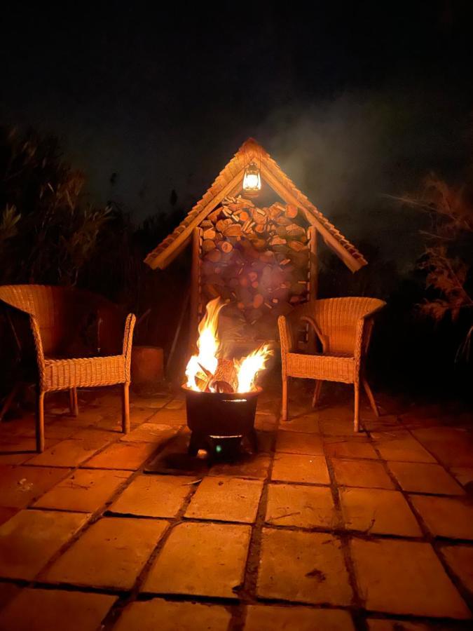 Myinsolite - Tiny-House, Jacuzzi, Brasero, Piscine Aigues-Mortes Eksteriør billede