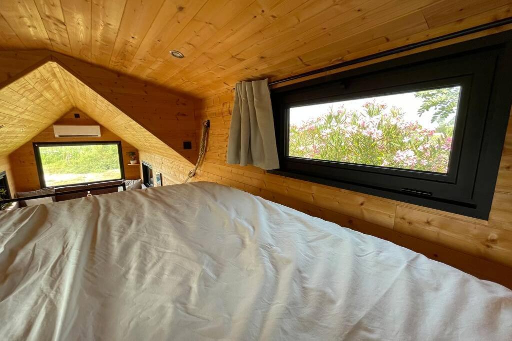 Myinsolite - Tiny-House, Jacuzzi, Brasero, Piscine Aigues-Mortes Eksteriør billede