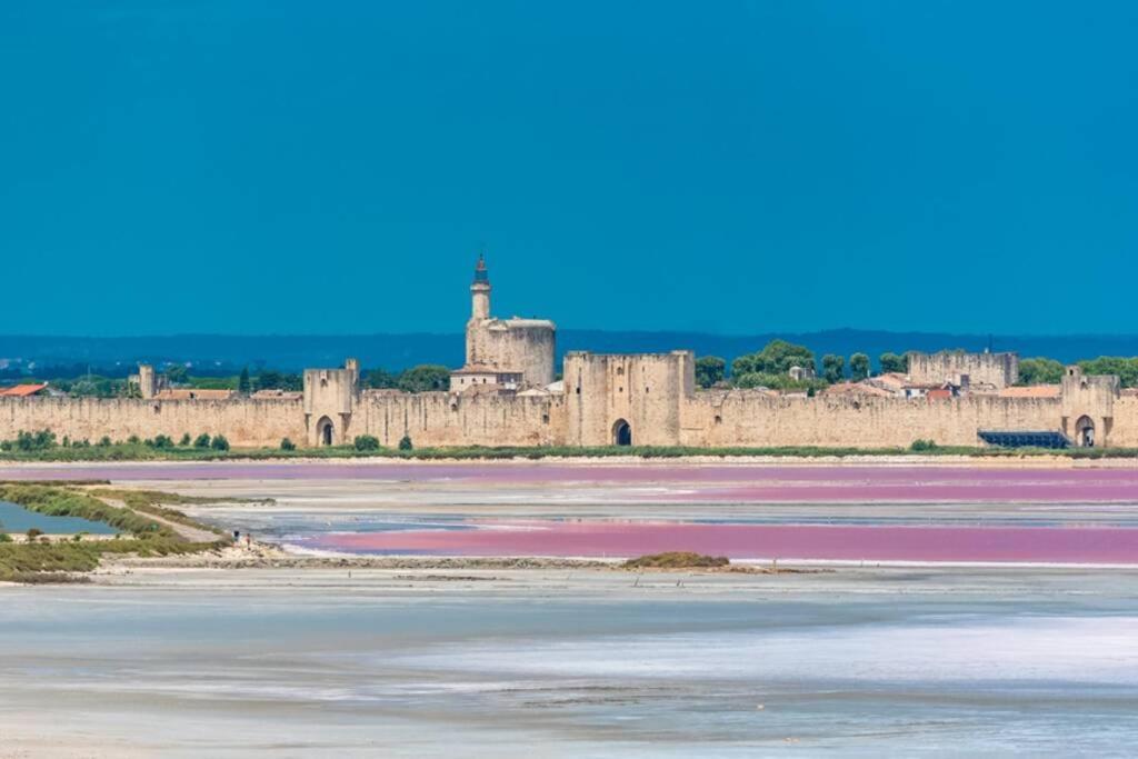 Myinsolite - Tiny-House, Jacuzzi, Brasero, Piscine Aigues-Mortes Eksteriør billede