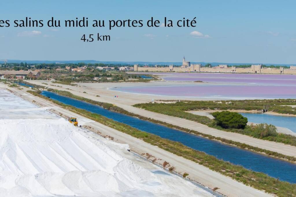 Myinsolite - Tiny-House, Jacuzzi, Brasero, Piscine Aigues-Mortes Eksteriør billede
