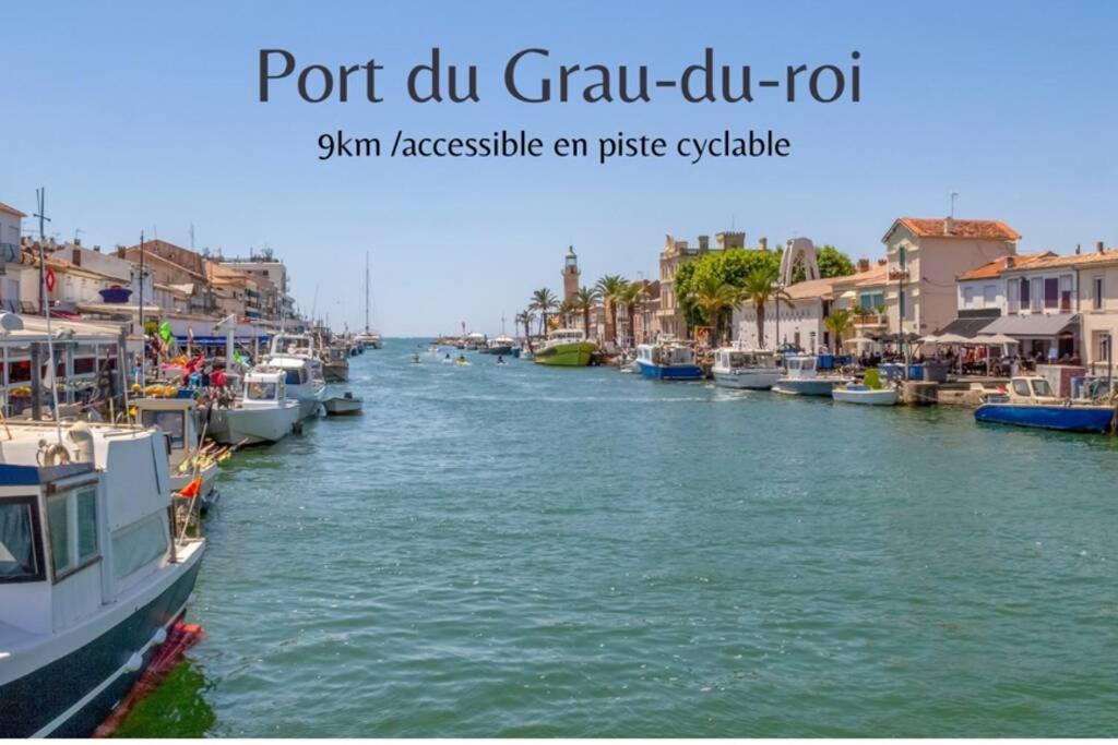 Myinsolite - Tiny-House, Jacuzzi, Brasero, Piscine Aigues-Mortes Eksteriør billede