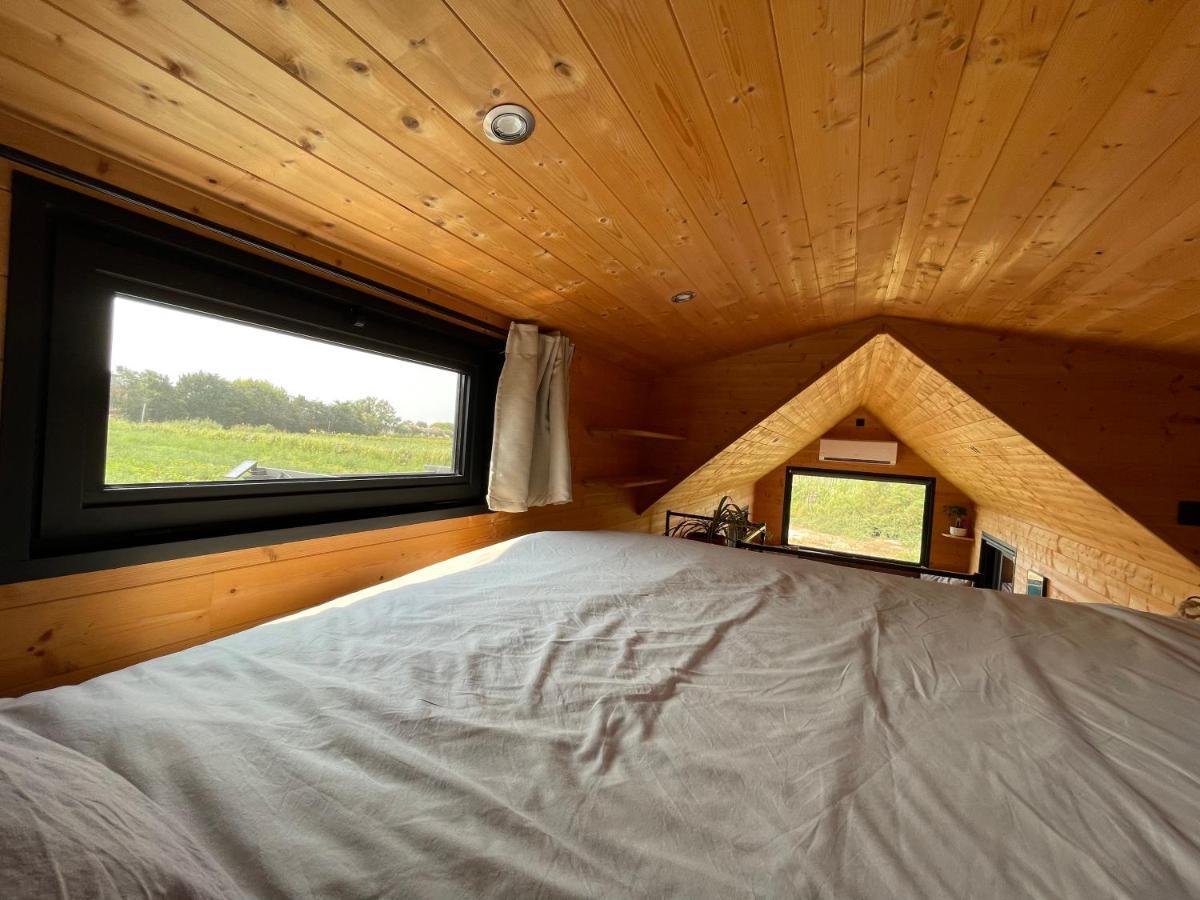Myinsolite - Tiny-House, Jacuzzi, Brasero, Piscine Aigues-Mortes Eksteriør billede